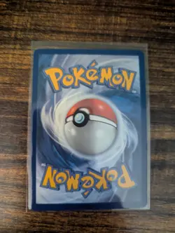 Pokemon Chimchar 041 Black Star Promo MEP TCG Partner Card - Image 2