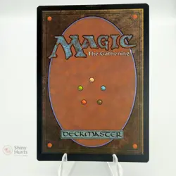Magic The Gathering Sorcerer Class Adventures in the Forgotten Realms Regular NM - Image 2