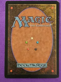 MTG Magic The Gathering - Natural Order - {SIGNED} Visions LP some edge wear - Image 2