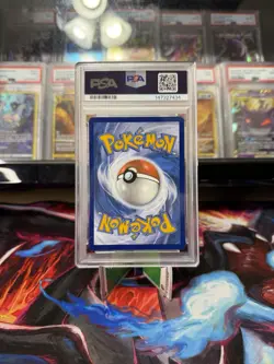 Pokemon Squirtle 148/142 Sv07: Stellar Crown Illustration Rare Holo PSA 9 - Image 2