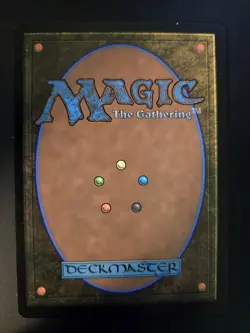 Swamp NM BORDERLESS Unfinity MTG FREE SHIPPING - Image 2