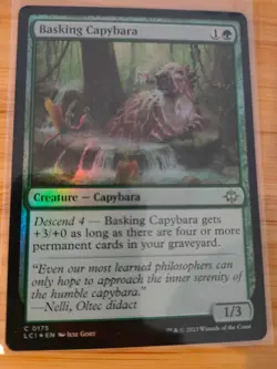 MTG Basking Capybara (FOIL) 0175 Lost Caverns of Ixalan M/NM Free UK P&P - Image 1