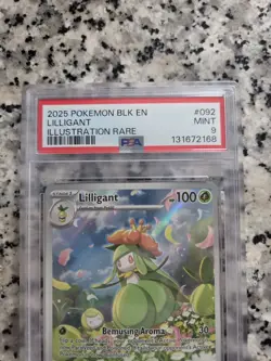 2025 POKEMON BLK EN LILLIGANT ILLUSTRATION RARE #092 PSA 9 MINT - Image 2