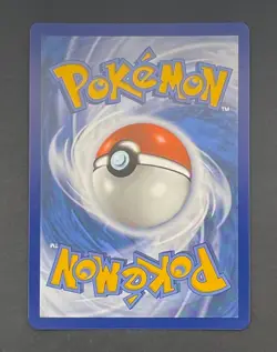 Pokemon Card Dachsbun EX 160/142 Stellar Crown - Near Mint - Image 2