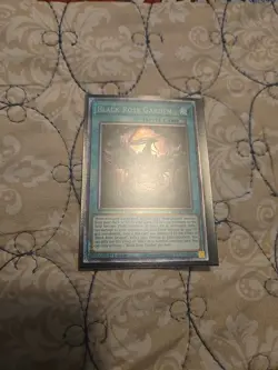 Black Rose Garden DOOD-EN055 Starlight Rare 1st Edition NM Yugioh - Image 1