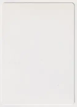 Gold Signed Remedy Proof LP Visions Artist Zina Saunders 1996 WOTC MTG Magic AP! - Image 2