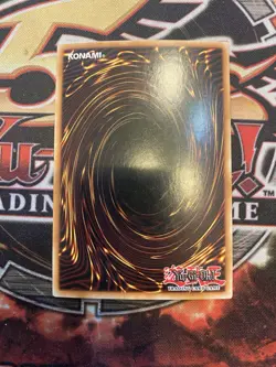 Yugioh Mother Grizzly LCYW-EN237 Secret Rare Yugi's World - NM - Image 4