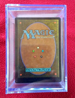 Magic the Gathering MTG 1997 Tempest 350 Card Full Set NM+ Booster Box Fresh! - Image 3