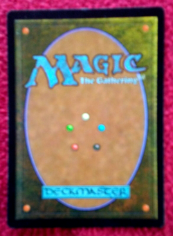 Magic the Gathering MTG 1997 Tempest 350 Card Full Set NM+ Booster Box Fresh! - Image 5