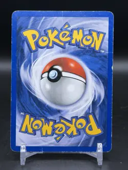 Venusaur Holo Black Star WOTC Promo #13 Pokemon English HP - Image 2