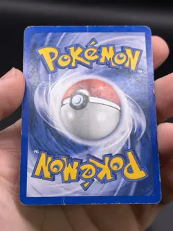Venusaur Holo Black Star WOTC Promo #13 Pokemon English HP - Image 4