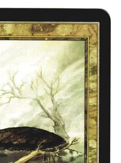 Magic The Gathering MTG - Onslaught ONS 2002 - #312 Barren Moor FOIL x1 - Image 3