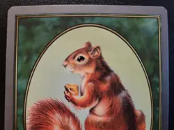MTG Squirrel Token 1998 Unglued UGL Ron Spencer Art LP Magic The Gathering Vinta - Image 3