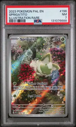 Sprigatito Illustration Rare Pokemon Pal En-Paldea Evolved 196 NM PSA 7 - Image 1