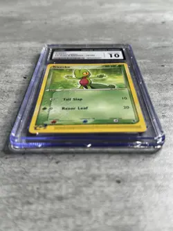 Pokemon Card Treecko CGC 10 Gem, e-Reader EX Ruby & Sapphire 76/109, 2003 (1) - Image 3