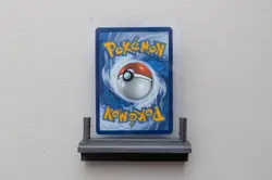 Squirtle 048 Black Star Promo | NM | Pokemon TCG | Rare Promo Collector Card - Image 2