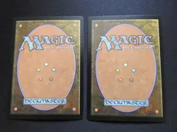 2x Rat Colony FOIL LP [Secret Lair] Mtg Magic Free Tracking! - Image 3