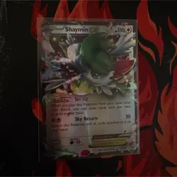 All Pokemon cards available from my shop! - Image 1