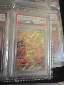 Pokemon 2024 Eevee 188/167 Sv06: Twilight Masquerade PSA 10 - Image 1