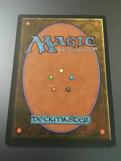 MTG Homelands Didgeridoo LP - Image 4