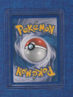2011 Pokemon # BW13 Cracked Iced Holo Black Star Promo Minccino - Image 2