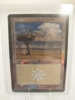 Vintage MTG Magic the Gathering Plains (333) (foil) Odyssey LP - Image 1