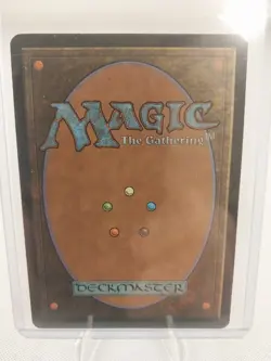 Vintage MTG Magic the Gathering Plains (333) (foil) Odyssey LP - Image 3
