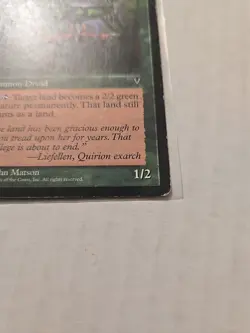 Quirion Druid - Visions - HP - Rare - Creature - MTG Magic - Image 4