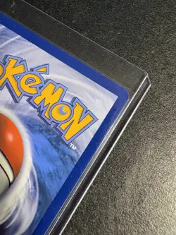 Pokemon Zorua 142/086 Sv: White Flare Illustration Rare Holo Basic 70 HP 2025 - Image 4