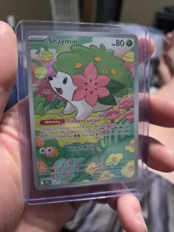 2025 Pokemon SV Destined Rivals Shaymin Illustration Rare #185/182 Free Shipping - Image 1