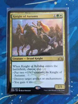 MTG Knight of Autumn - NM - Guilds of Ravnica - Image 1