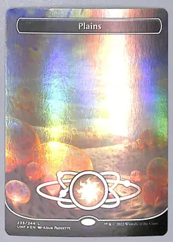 Plains - Borderless - Foil - 235 - Unfinity (UNF) MTG - Image 1
