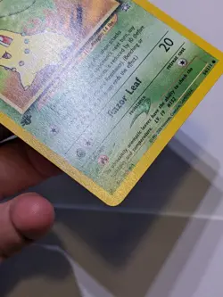 Chikorita 54/111 Neo Genesis Pokemon Card 1st Edition - NM - Image 4