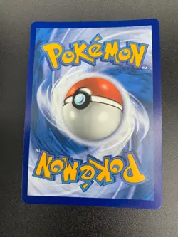 Wallace 208/195 Hyper Secret Rare Pokemon Sword & Shield: Silver Tempest NM 2022 - Image 2