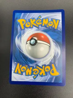 Wallace 208/195 Hyper Secret Rare Pokemon Sword & Shield: Silver Tempest NM 2022 - Image 3