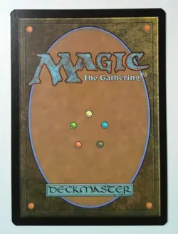 The Book of Vile Darkness *Mythic Rare* Magic MtG x1 AFR Extended Art - Image 2