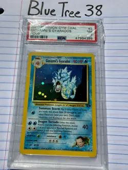 Pokemon TCG Giovanni's Gyarados Holo 5/132 Gym Challenge Wotc Rare PSA 7 - Image 1