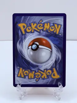 🔥Pokemon TCG-Marill-232/217-Me: Ascended Heroes-Illustration-Holo-M/NM!🔥 - Image 2