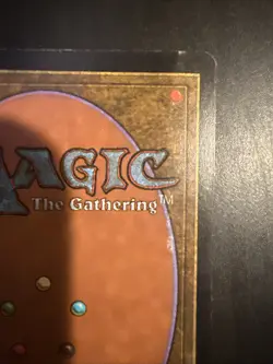 Wasteland Tempest Regular MTG Magic The Gathering - Image 3