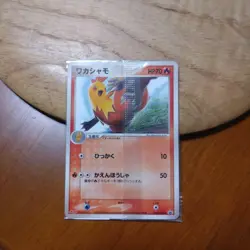 Pokemon Card 065/PCG-P Combusken Meiji Promo Sealed Japanese NM - Image 1