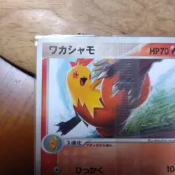 Pokemon Card 065/PCG-P Combusken Meiji Promo Sealed Japanese NM - Image 5