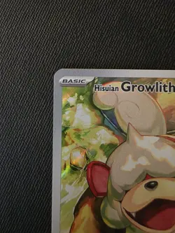 Hisuian Growlithe Holo Illustration Rare Card 181/167 Sv06: Twilight Masquerade - Image 3