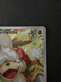 Hisuian Growlithe Holo Illustration Rare Card 181/167 Sv06: Twilight Masquerade - Image 4