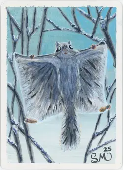 Signed MTG Rev. Ed. Phantom Monster Artist Proof, Jesper Myrfors, Painted Back - Image 1