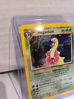 Meganium Holo Rare 11/111 Neo Genesis 2000 Vintage Pokemon Card Lightly Played - Image 2