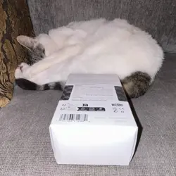 Secret Lair Countdown Kit: An Encyclopedia of Magic (SEALED) - Image 4