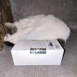 Secret Lair Countdown Kit: An Encyclopedia of Magic (SEALED) - Image 5