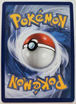 Turtwig 040 | First Partner | Illustration Rare | Black Star Promo | Pokemon TCG - Image 2