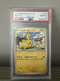 2023 Pokemon Japanese Pikachu Gym Event Champaign PSA GEM MINT 10 #120 - Image 1