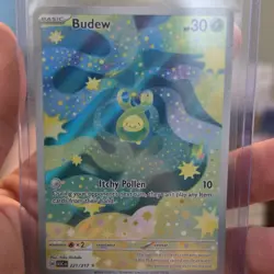Budew 221/217 Ascended Heroes: Full Art Holo Illustration Rare Pokemon Card - Image 1